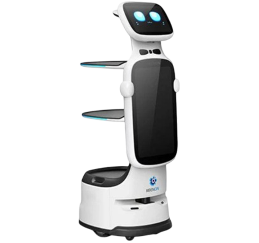 Marla T10 Servis Robotu