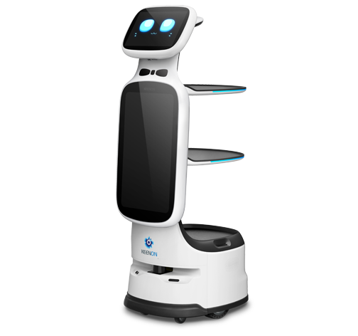 Akıllı ve Güvenli Servis Robotu